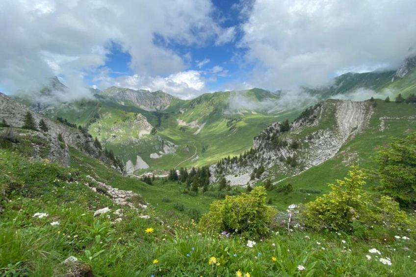 Appartement Britt - foto 33