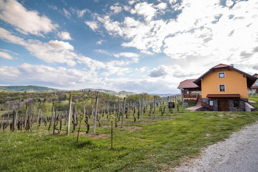 Golden Horizon Holiday Home with Terrace and Garden - One Bedroom Holiday Home with Terrace and Garden - foto 42