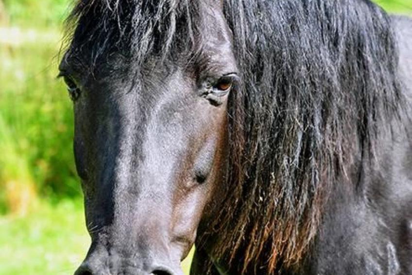 mit Terrasse - foto 20