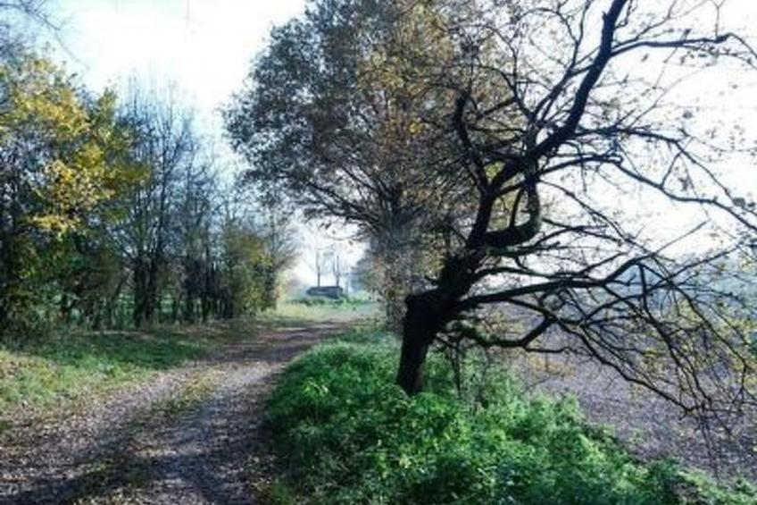 FeWo Haus Unkelbach - foto 15