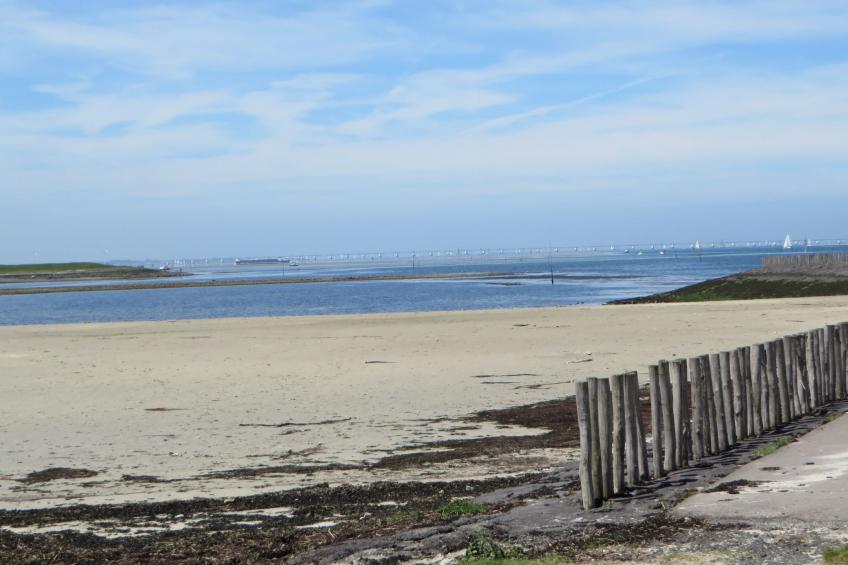 Seabreeze mit umzäuntem privatem Garten - foto 40