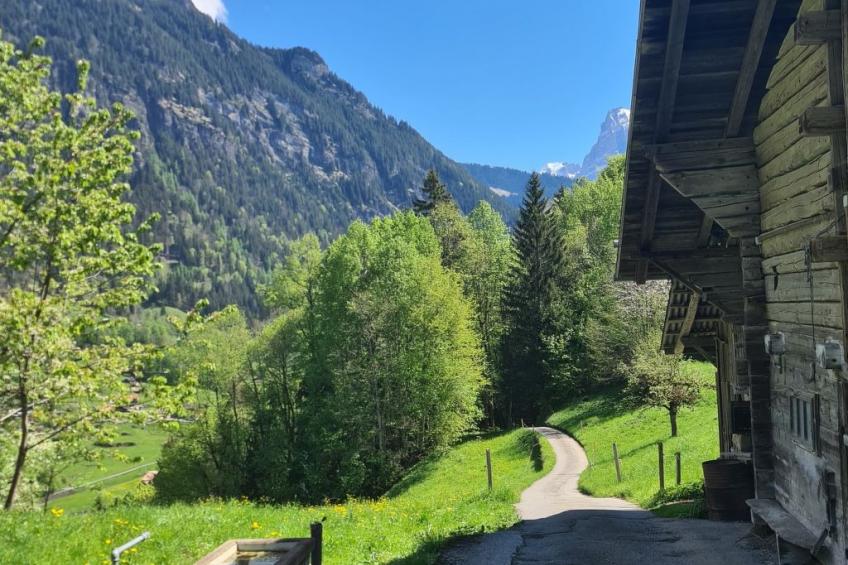 FF Bergmomente - foto 17