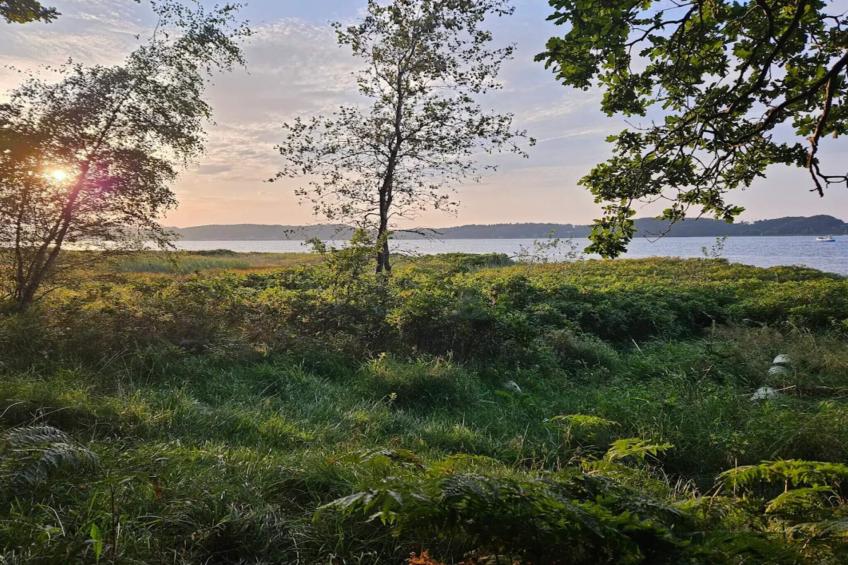 Hus til 4+2 personer STANDARD - foto 14