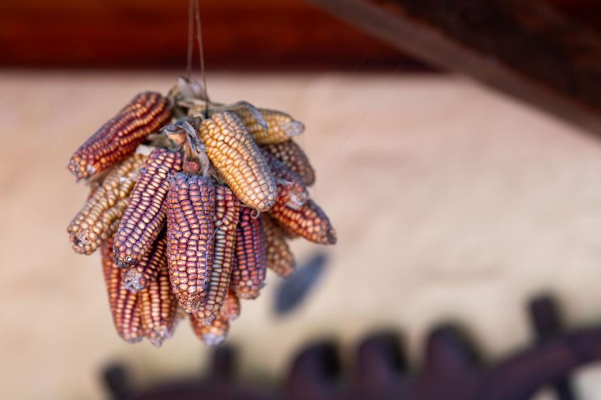 Kanarische Finca mit Pool und herrlicher Aussicht - foto 14