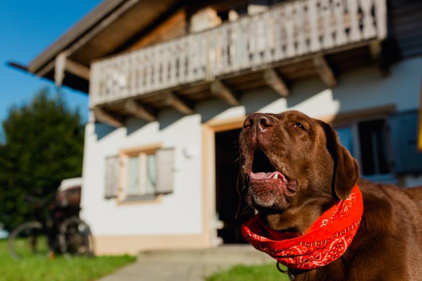 Vital Ferienhaus - foto 2