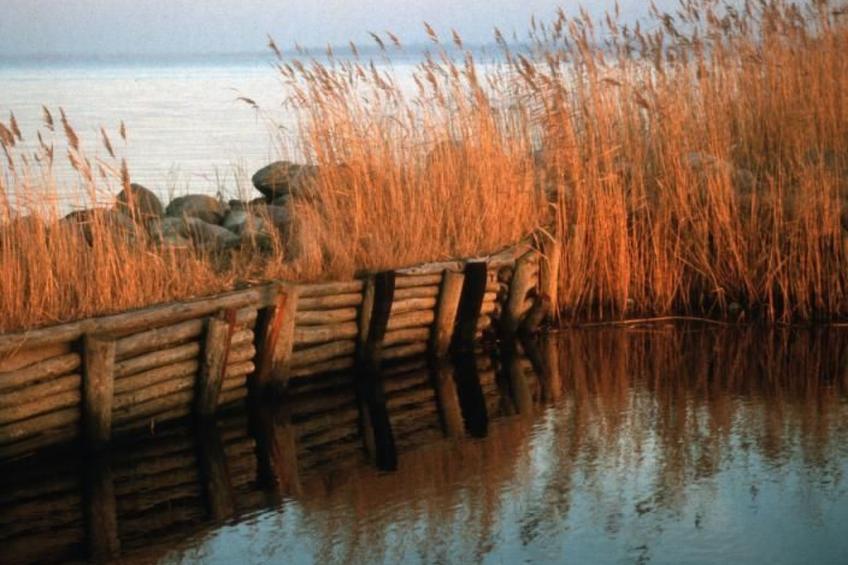 Fewo "Bootsscheune" - foto 20