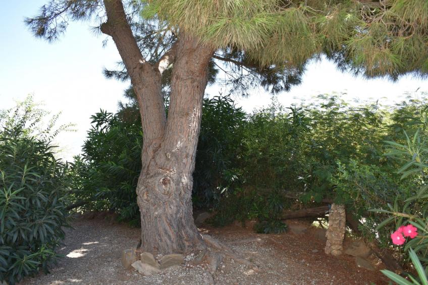 Finca Carrulo mit privatem Pool - foto 32