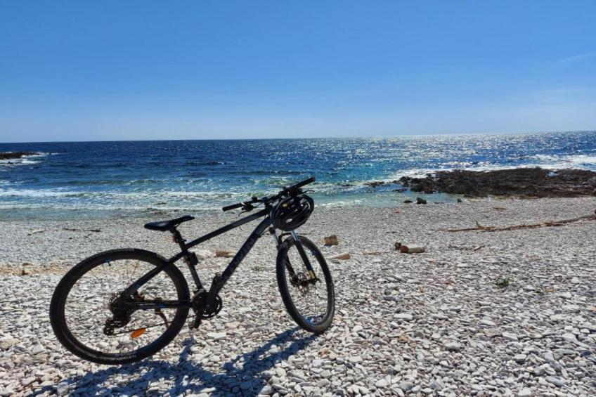 Gorgonia S2 - foto 14