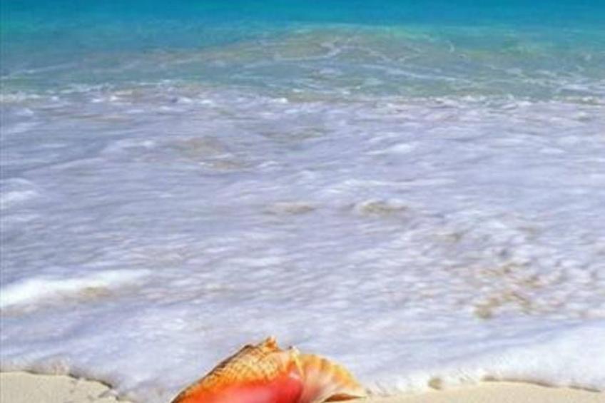 mit Privatpool für 4 Personen  + 2 Kinder ca. 92 m² in Masari, Ägäis (Rhod - foto 18