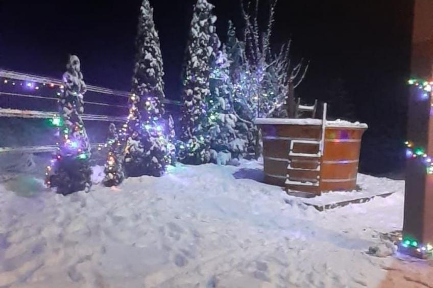 Vila Roberta Breaza Brasov - foto 17