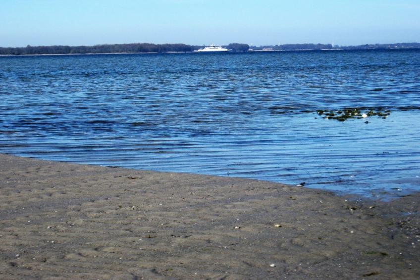 "Eddy" - 50m from the sea in Lolland, Falster and Mon - foto 22