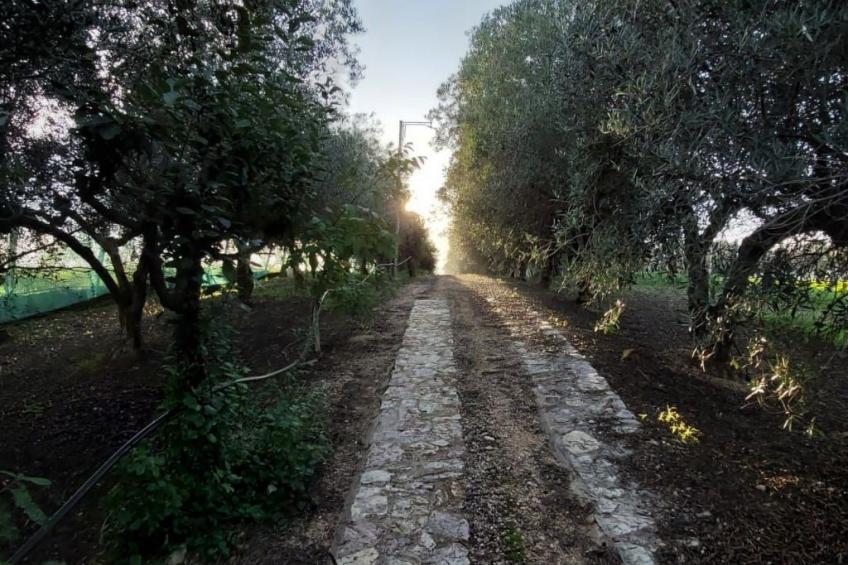 Entspannung, Meer, Natur, Kultur - foto 21