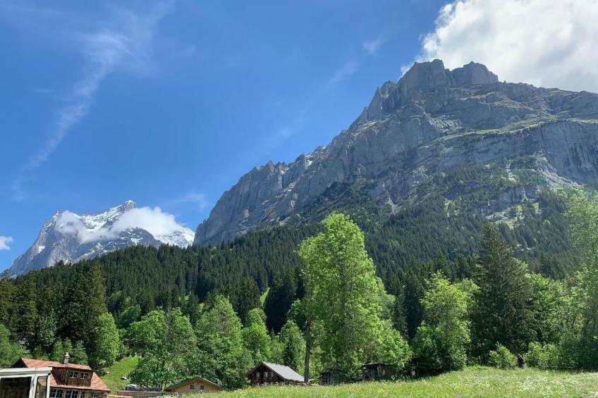 Grindelwald - foto 23