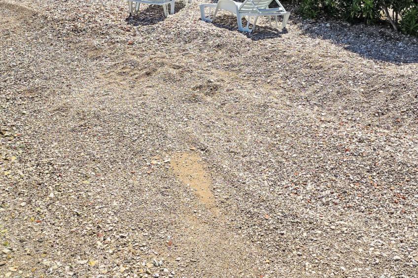 "Antun" am Strand - foto 39