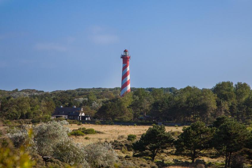 Strandvilla 30 - Scharendijkseweg | Renesse - foto 27