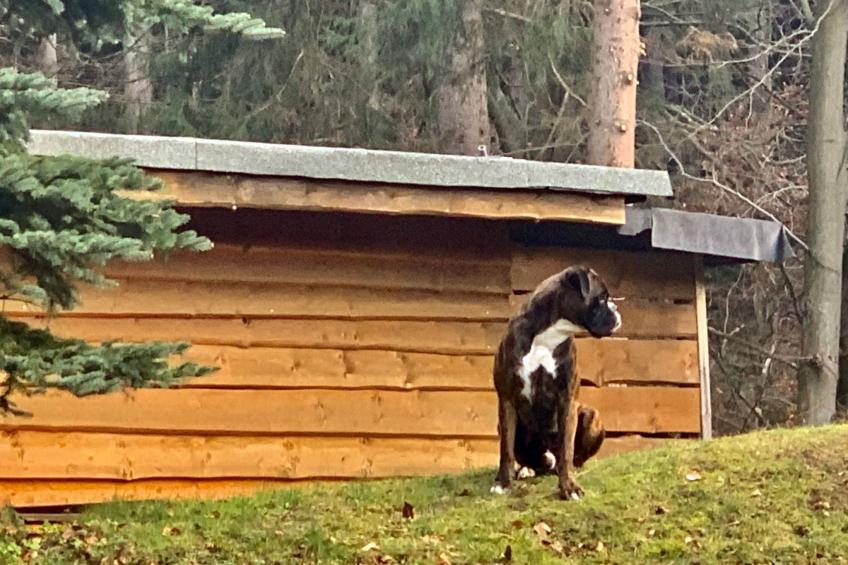 Jägerhaus - foto 55