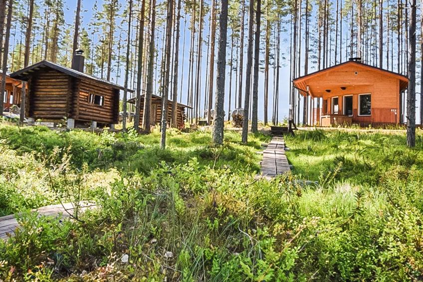 Lepovalkeinen - foto 13