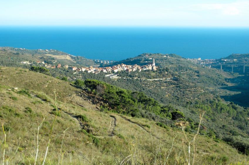 Casa Rosa - foto 17