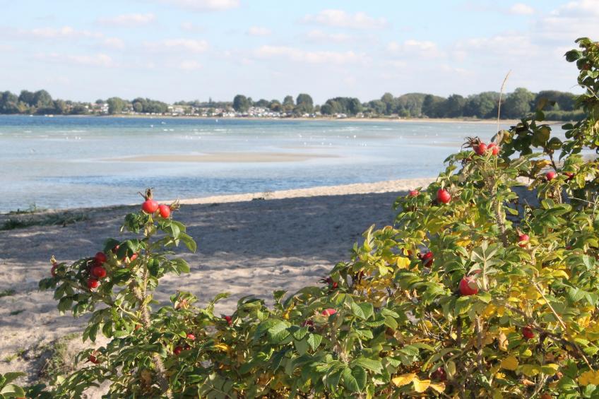 Dat Oole Huus 4 - foto 22