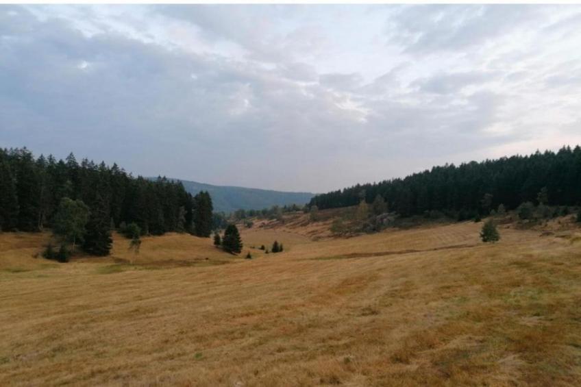 Ferienhaus Anna - foto 26