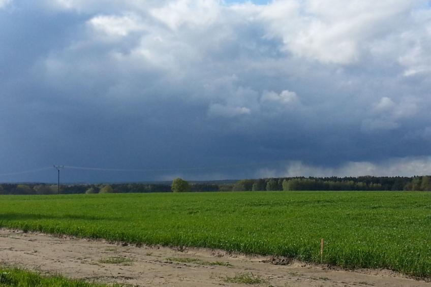 mit Wallbox - foto 17