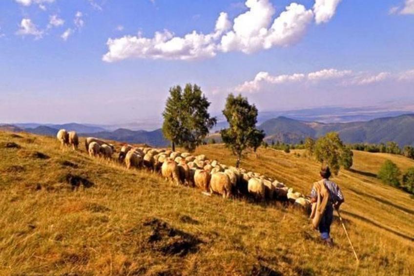 Casa Zollo - nahe den Karpaten Transsilvaniens - foto 31