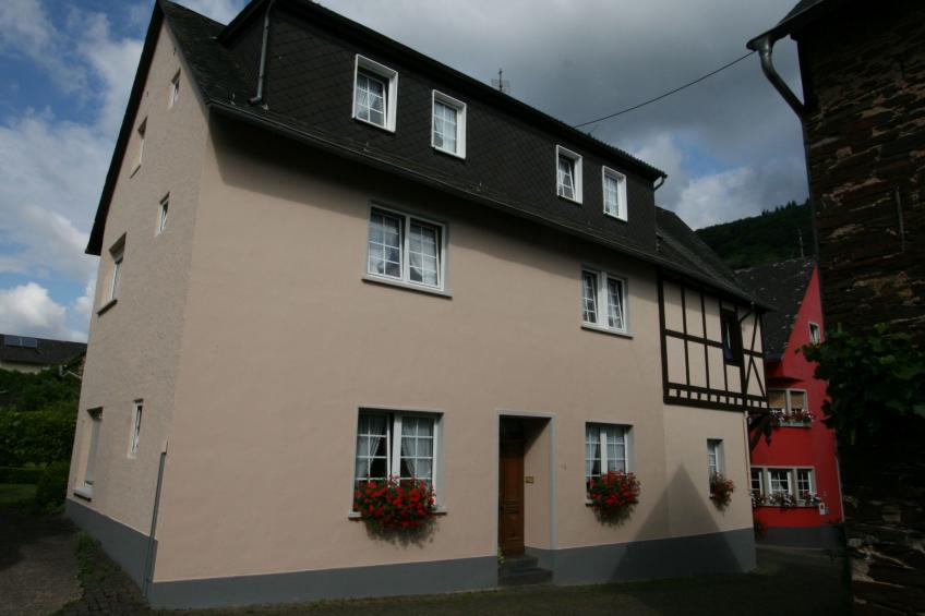 FEWO Veilchen - foto 6