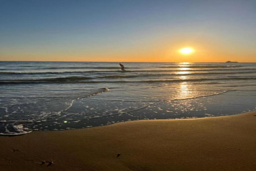 Noordzee Résidence Dishoek - foto 37
