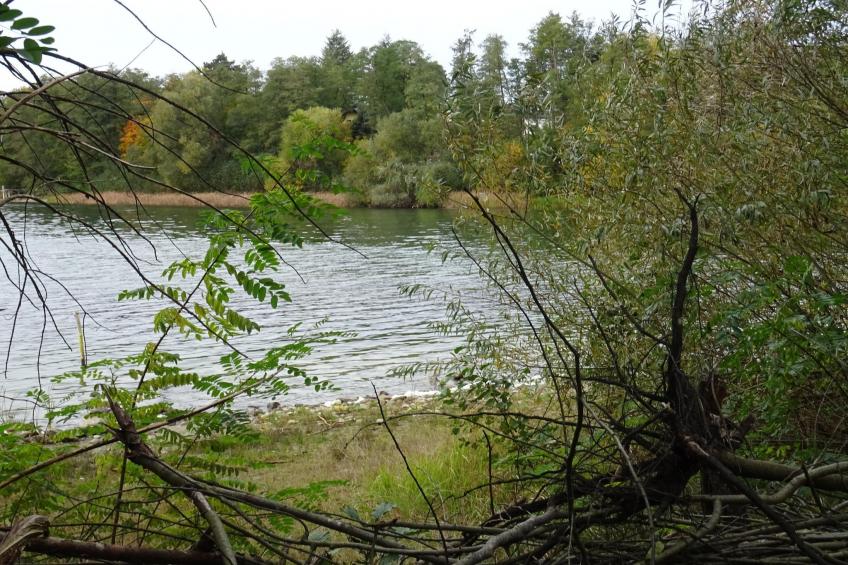 Luxus Appartement / 3 Personen - foto 40