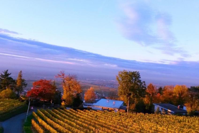 Traumwohnung - foto 38