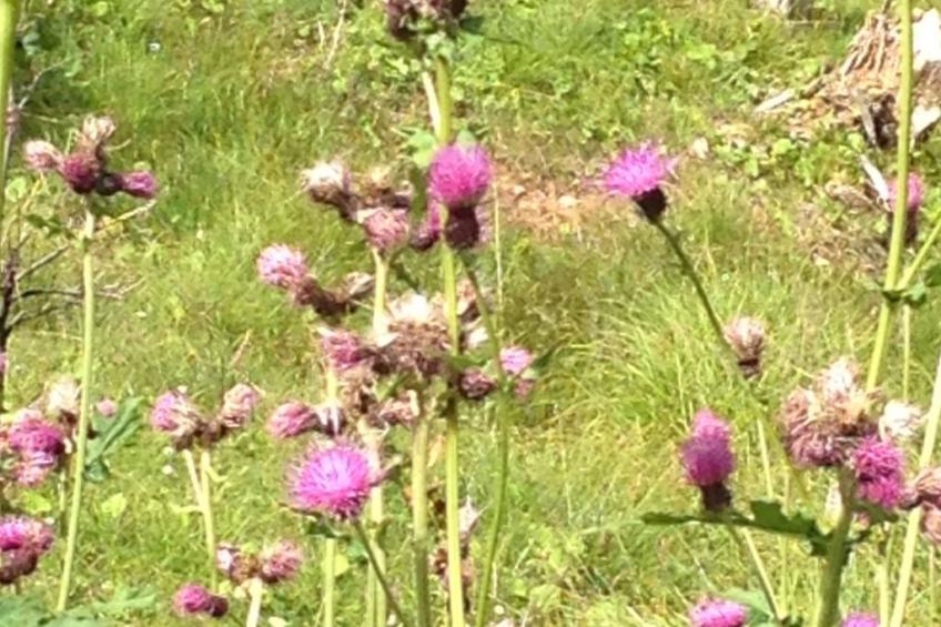 Chalet "Rennweg 114" mit Sauna - foto 85