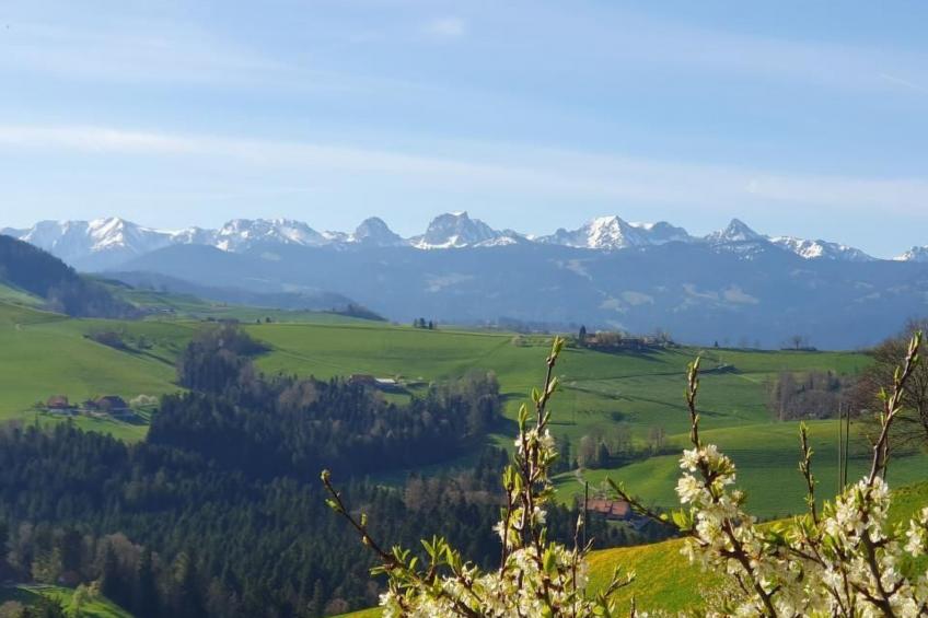 in einem heimeligen Berner-Stöckli - foto 24