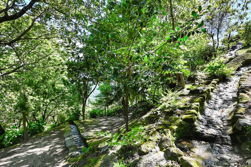 Casas das Olas 1 - Großartige Aussicht, 2 Pools, idealer Ort zum Entspannen und - foto 44