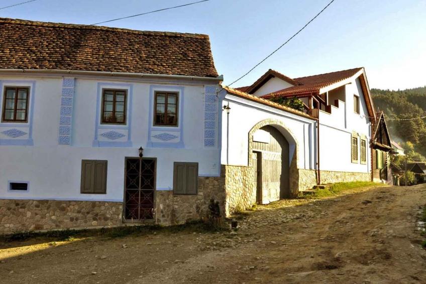 Casa Nicu - traditionelles Landhaus in Hirtendorf - foto 17