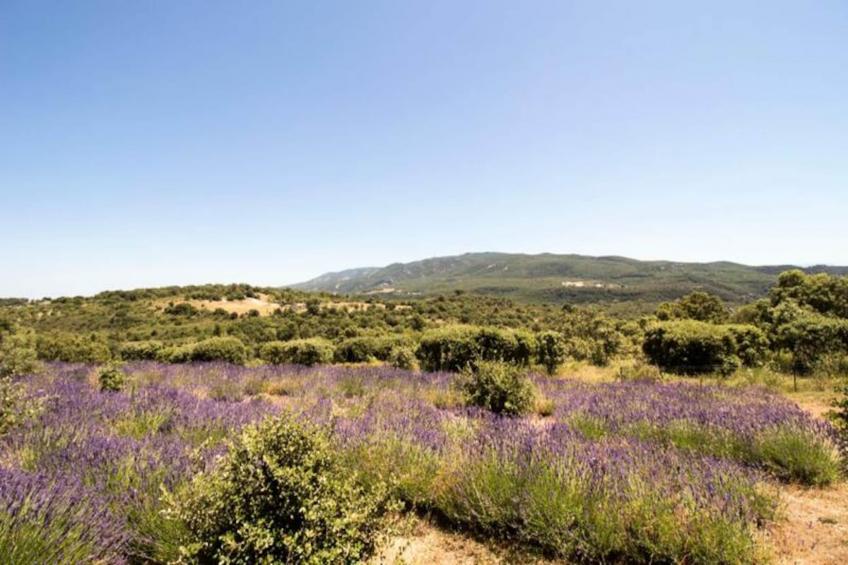 Villa Mirage Luxe Et Sérénité - foto 29