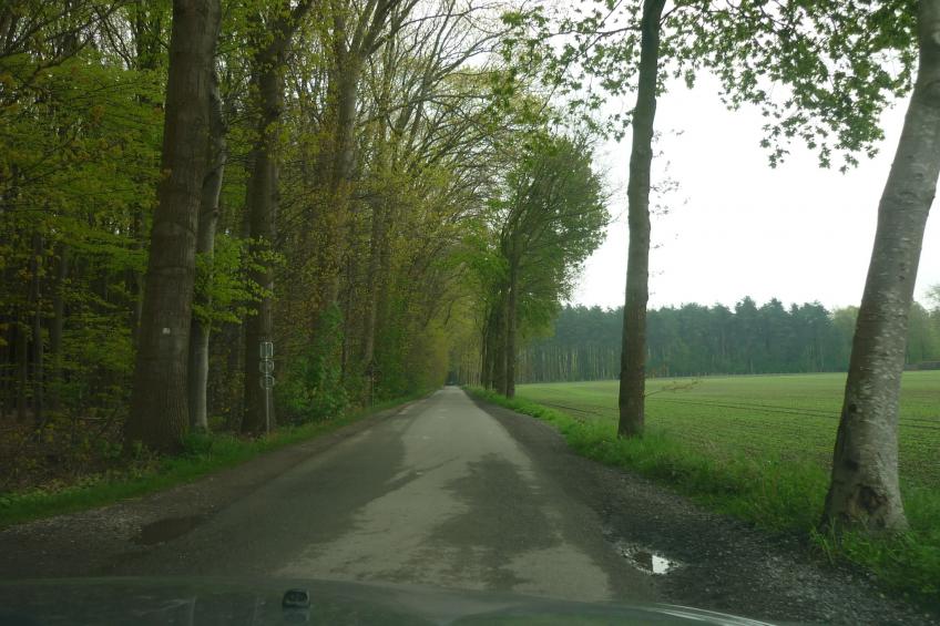 De Snoeibijl - foto 40