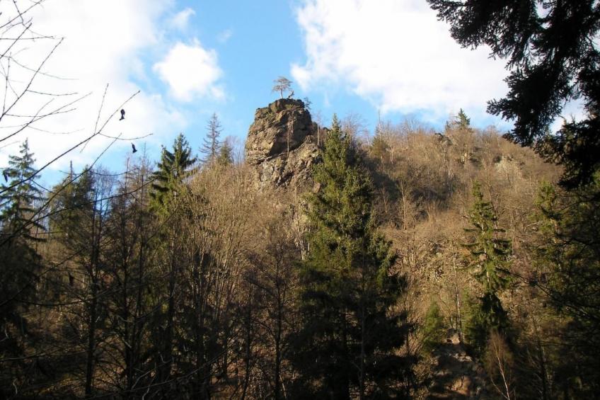 Haus "Hermann" - foto 35