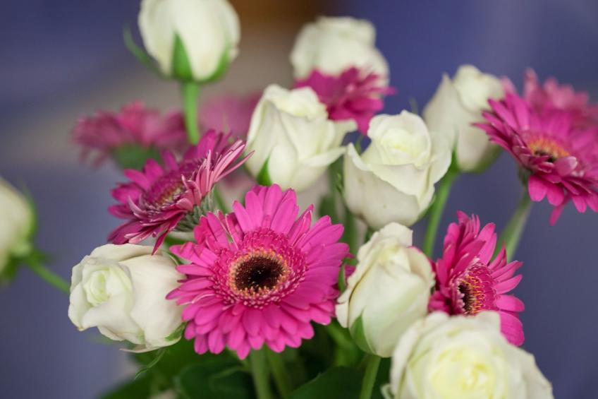 Appartement Gimpl - foto 16