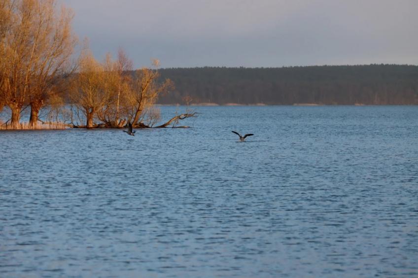 Holiday home Kiebitz, Plau am See - foto 18