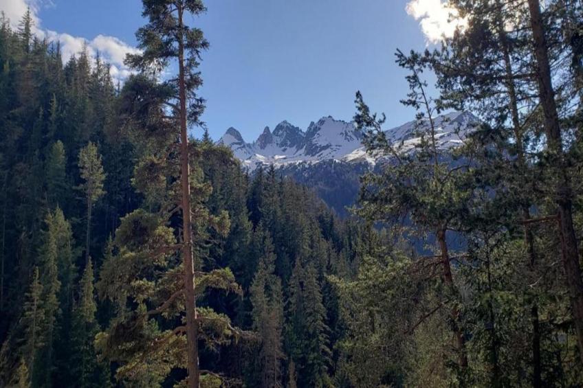 La Turra N°312 - 3P4 - foto 17