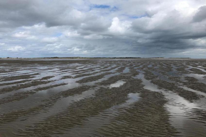 Duindroom op Terschelling - foto 34