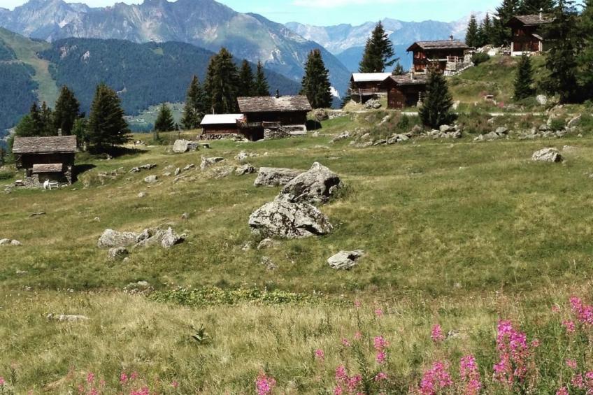 Chalet 3 Zi. in ruhiger Lage, in der Nähe von Verbier - foto 29