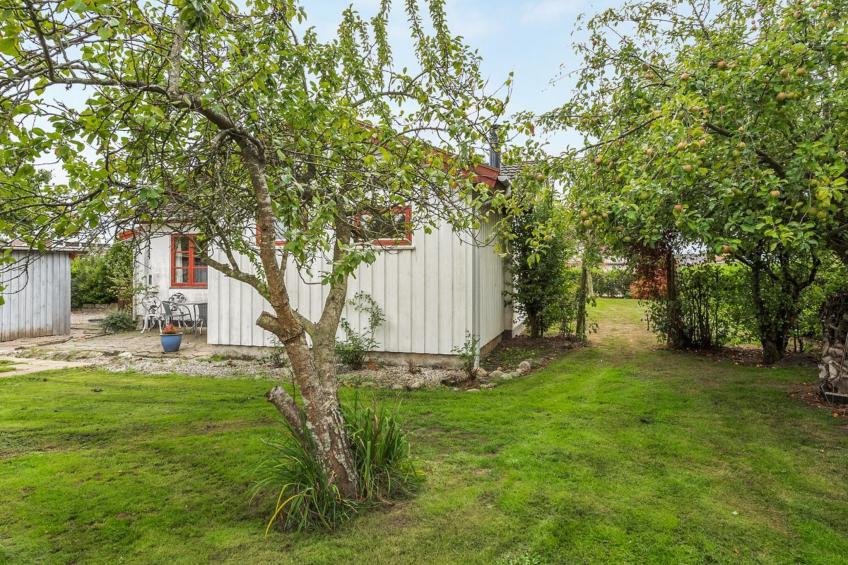"Heralde" - 250m from the sea in SE Jutland - foto 24