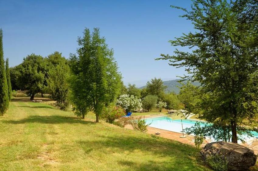 Das Walnusshaus - foto 54