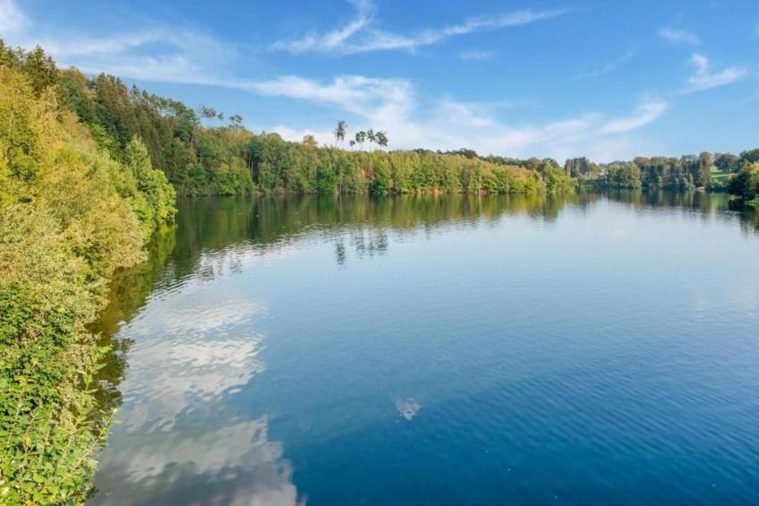 Les Prés Verts - foto 29