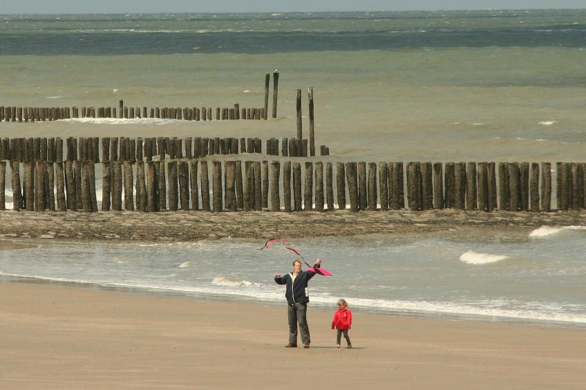 De Zeeschelp - foto 40