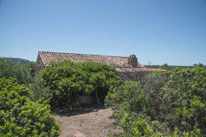 Finca zum Abschalten in Miitten der Natur - BF-CH6HD - foto 10