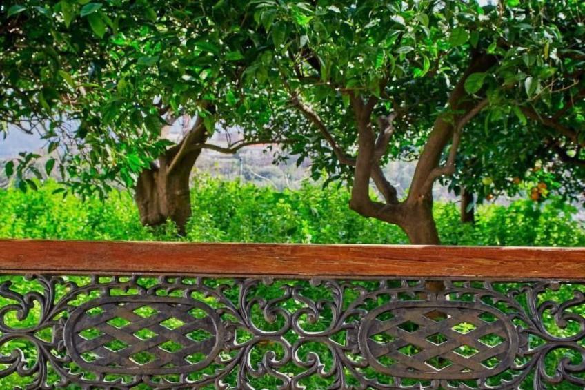 Villa Manthos Traditionelles Kretisches Herrenhaus - foto 19