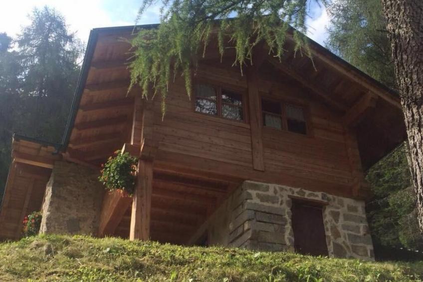 mit Sauna in Pieve Di Bono - foto 5