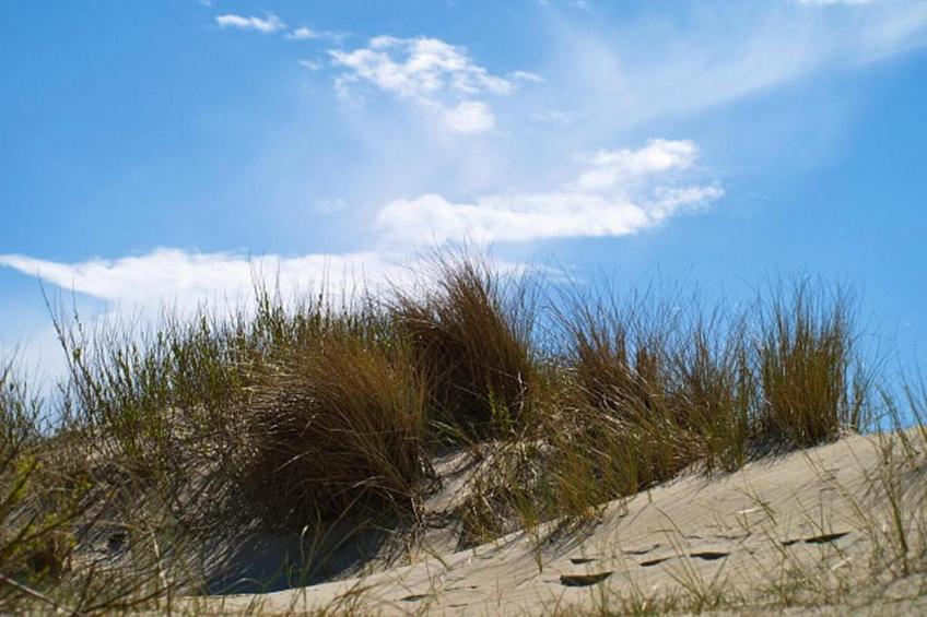 Semi-detached houses, Oldsum auf Föhr - Type A - foto 20